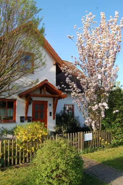 Haus